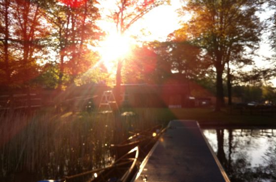 Wir zählen die Tage: Termine 2019