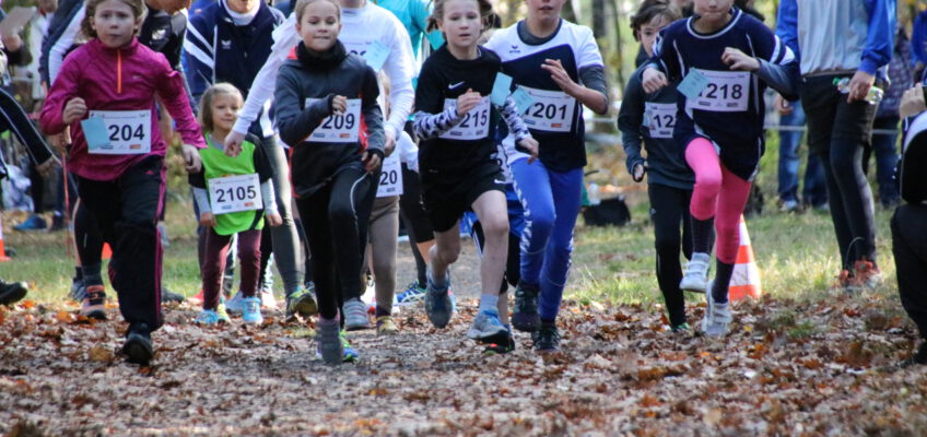 Herbstwaldlauf bei Rotation