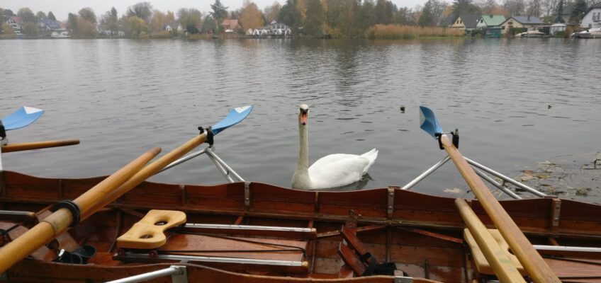 Der Herbst hält Einzug ….