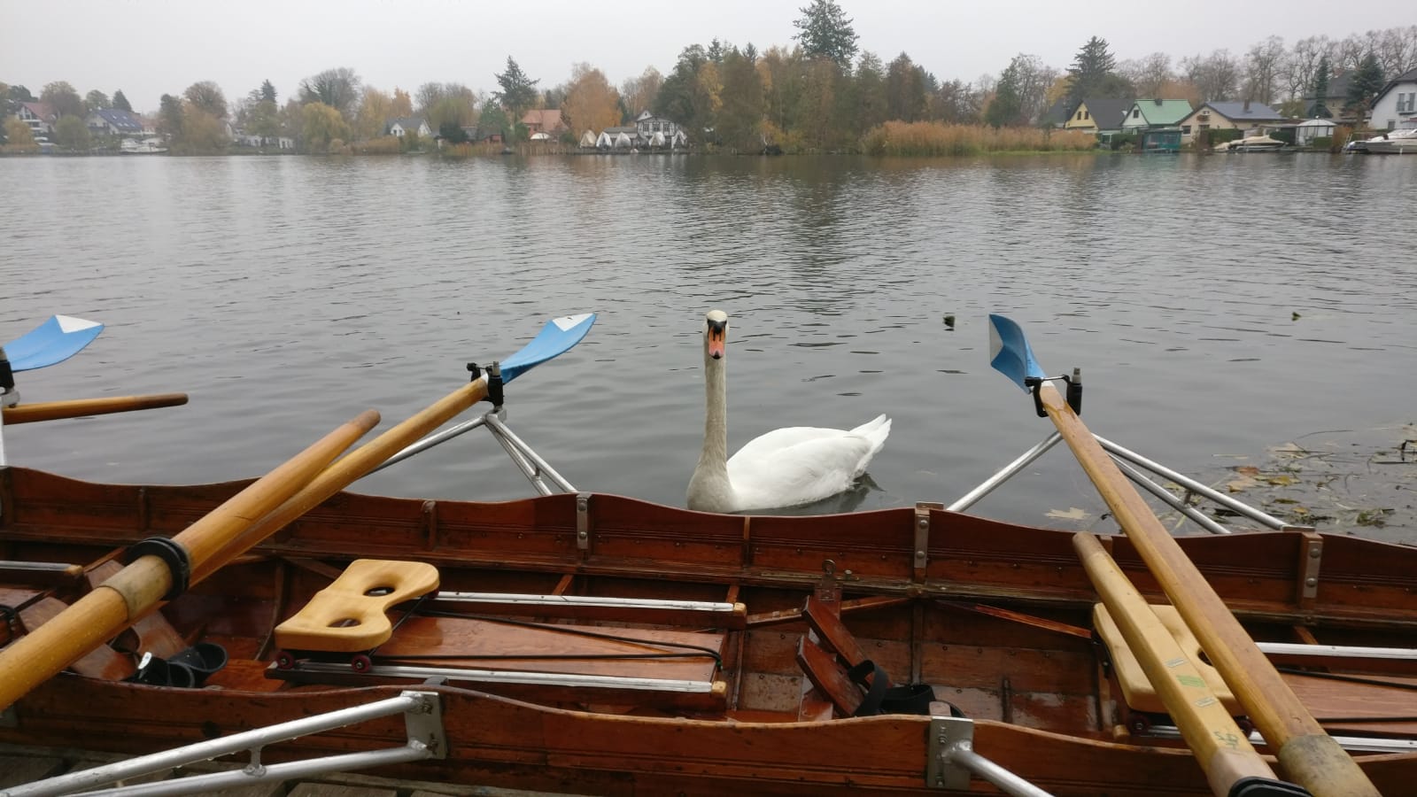 Herbst auf dem Dämmeritzsee