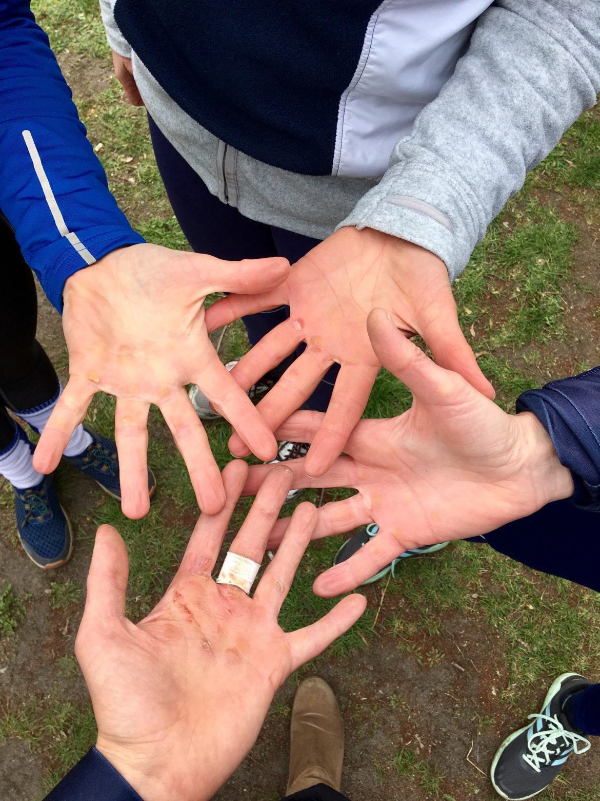Zeigt her eure Hände: Langstreckenregatta in Fürstenwalde 2019