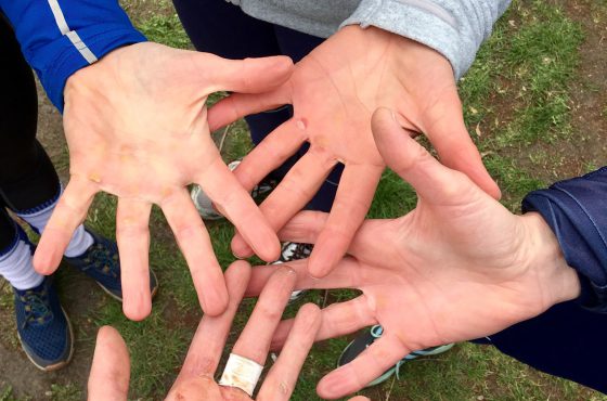 Zeigt her eure Hände: Langstreckenregatta in Fürstenwalde 2019